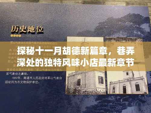 探秘十一月胡德新篇章,巷弄深处的独特风味小店最新章节介绍