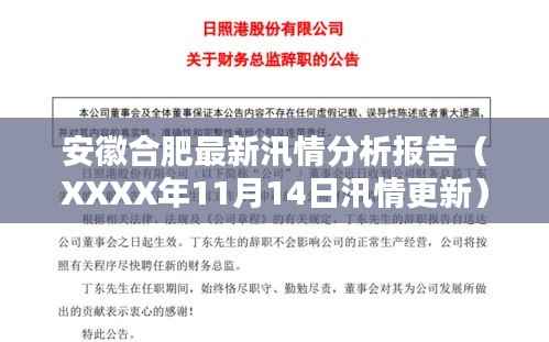 安徽合肥最新汛情分析报告(XXXX年11月14日汛情更新)