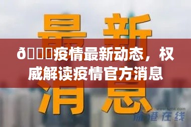 🌟疫情最新动态,权威解读疫情官方消息,最新动态尽在掌握🌟(日期,2024年11月15日)