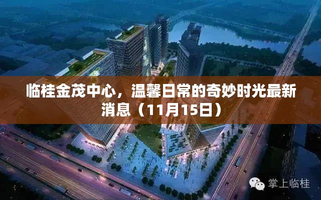 临桂金茂中心,温馨日常的奇妙时光最新消息(11月15日)