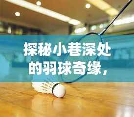探秘小巷深处的羽球奇缘,2024年羽球风尚揭秘与最新资讯