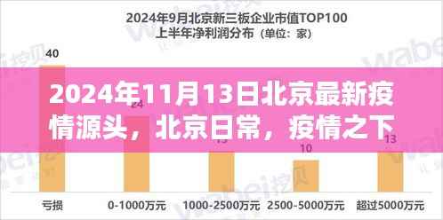 北京疫情最新动态,温情纽带与奇妙冒险在行动(2024年11月13日)