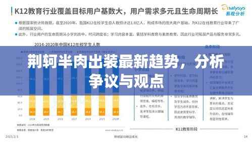 荆轲半肉出装最新趋势,分析争议与观点