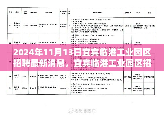 宜宾临港工业园区最新招聘动态与多元观点探析(2024年11月13日)