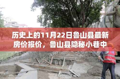 揭秘鲁山县房价历史变迁与隐秘小巷特色小店魅力,最新房价报价一网打尽