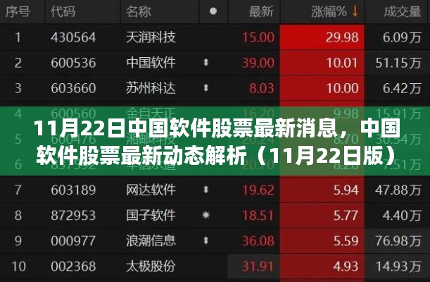 中国软件股票最新动态解析及消息(11月22日版)