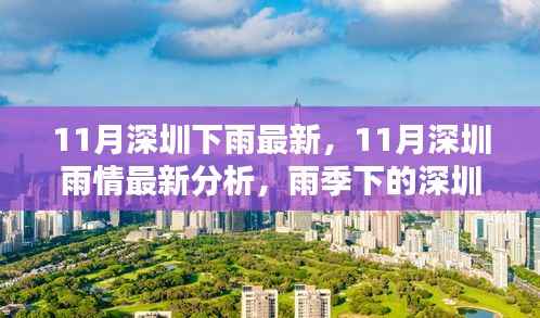 深圳雨季持续,雨情分析助力魅力不减
