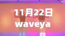 揭秘11月22日Waveya最新视频，深度解析与独特视角体验