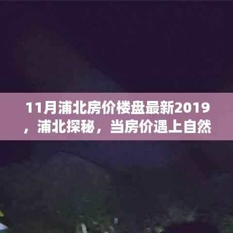 心灵之旅启程时,揭秘浦北房价楼盘最新动态与美景交融