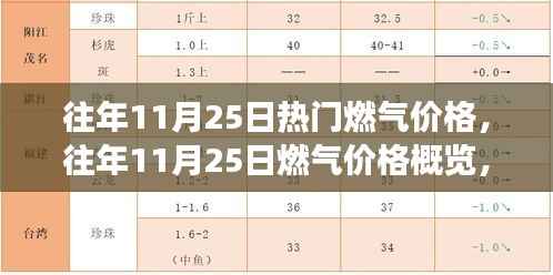 往年11月25日燃气价格概览,特性、体验、竞争分析与目标用户深度剖析