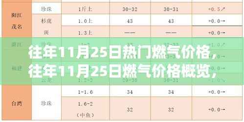 往年11月25日燃气价格概览,特性、体验、竞争分析与目标用户深度剖析
