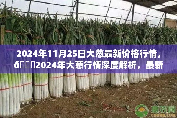 🌟2024年大葱行情深度解析,最新价格动态与市场趋势预测🌟