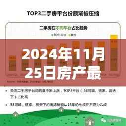 揭秘小巷深处的独特小店,房产新政策下的独特风景与深度解读(2024年最新政策)