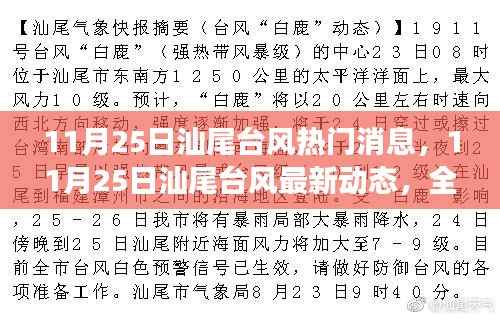 独家解读,汕尾台风最新动态与热门消息全解析(日期标注)