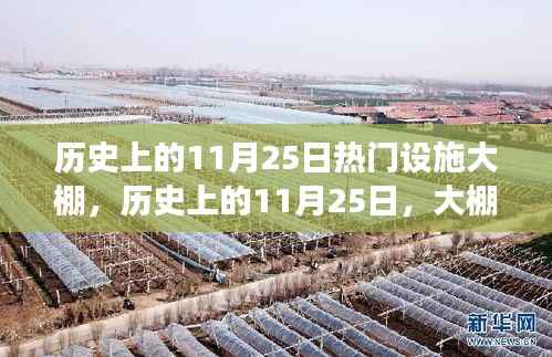 探寻自然美景的心灵慰藉,历史上的大棚之旅——11月25日的热门设施大棚纪实