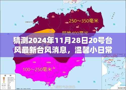 台风动态更新,与台风共舞的日子,传递爱与陪伴的温馨日常