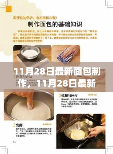 探索独特风味面包的诞生之旅,最新面包制作技巧揭秘(11月28日更新)