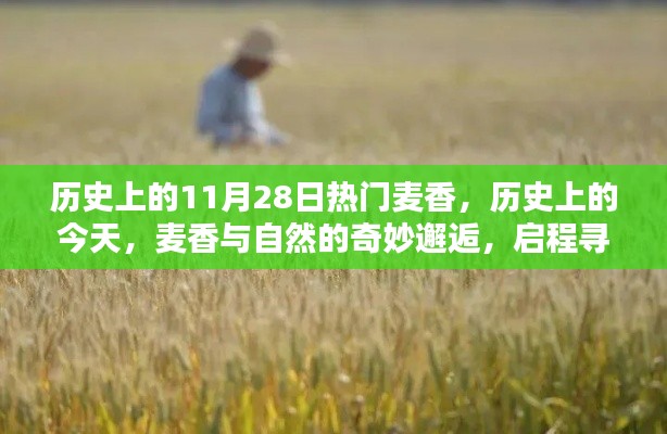 历史上的麦香奇妙邂逅,启程寻找内心的宁静之路(或,历史上的今天,麦香与自然的相遇)