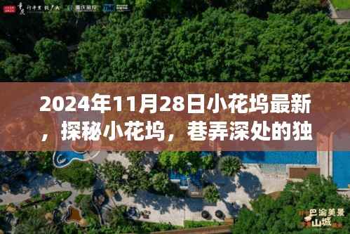 探秘小花坞,巷弄深处的独特风味,惊喜之旅(最新报道,2024年11月28日)