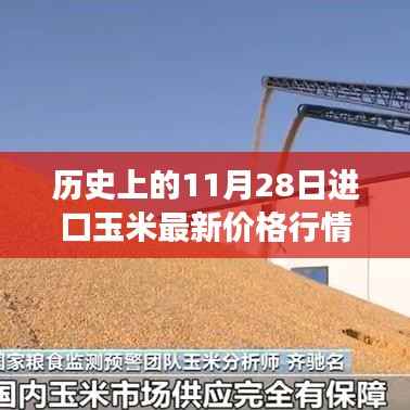 历史上的11月28日进口玉米价格行情深度解析,最新行情分析与三大要点解读