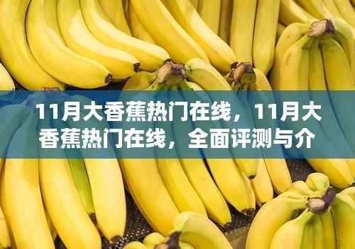 11月大香蕉热门在线,11月大香蕉热门在线,全面评测与介绍