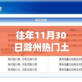 往年11月30日滁州土地拍卖全景解析,特性、体验、对比及前景展望