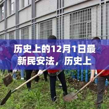 全面解读,历史上的民安法新特性与竞品对比,体验深度体验报告出炉!