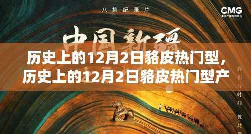 历史上的12月2日貉皮热门产品全面评测与介绍