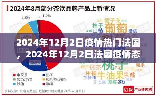 法国疫情热议话题探讨,2024年12月2日的态势与热议话题分析