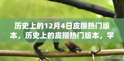 历史上的皮猴热门版本,学习变化的力量与自信的诞生历程