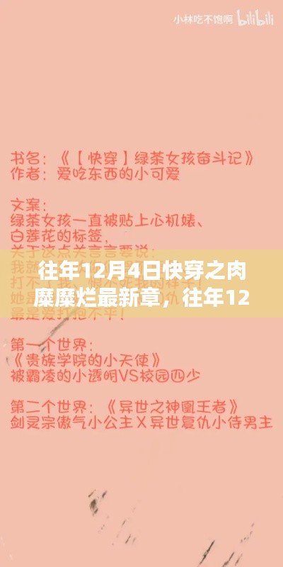 往年12月4日快穿之肉糜糜烂最新章,深度解析与探索