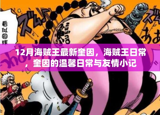 海贼王奎因的日常与友情篇章,温馨瞬间记录