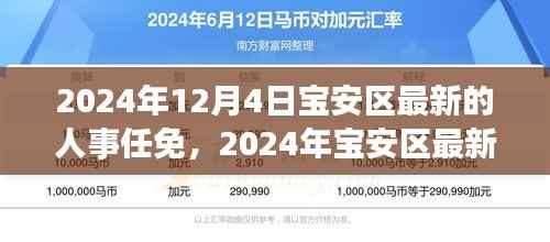 2024年宝安区人事任免动态,引领区域新发展