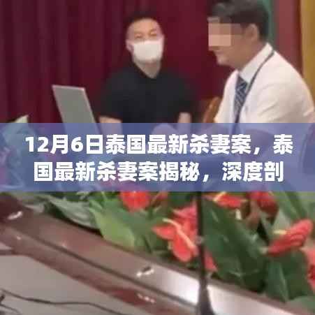 泰国最新杀妻案深度剖析,揭秘背后故事与疑点