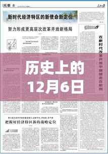 北京裁员政策深度解析,历史上的12月6日最新动态与深度观察