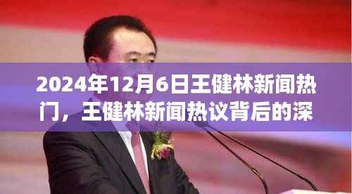 王健林新闻热议背后的深度解读，观察与思考在2024年12月6日的体现