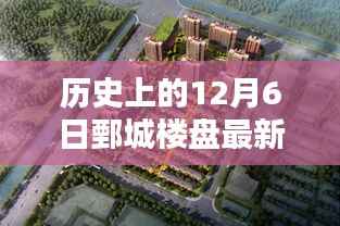 鄄城楼盘温馨开盘日,历史开盘价格回顾与最新篇章的启示
