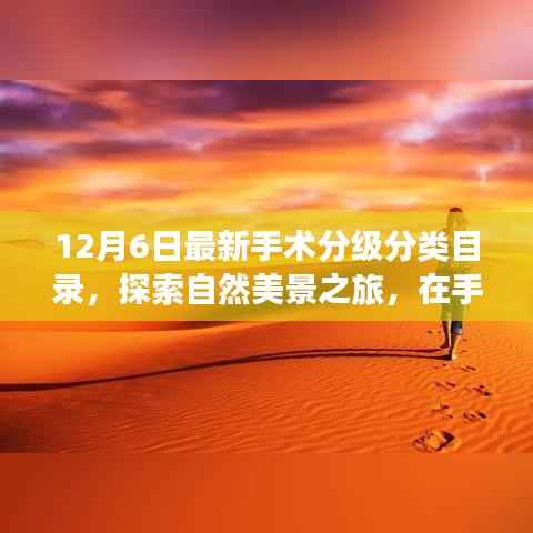 12月6日手术分级分类目录新探,自然美景之旅,探寻内心宁静的启程之路