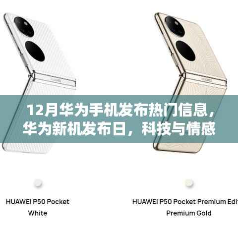 华为新机发布日,科技与情感的温馨交融,12月热门手机信息揭晓