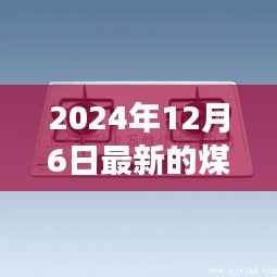 2024年最新煤气炉技术革新及未来趋势展望