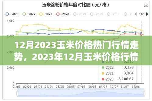 深度解析，2023年12月玉米价格行情走势，背景、事件与地位探究