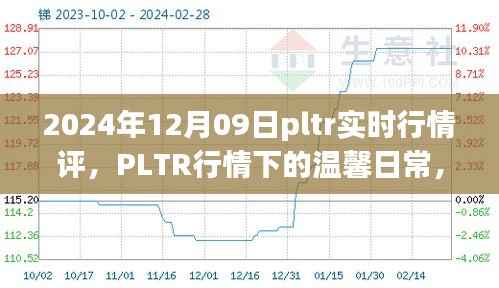 PLTR行情下的温馨日常与奇妙冒险,2024年12月09日实时行情评析