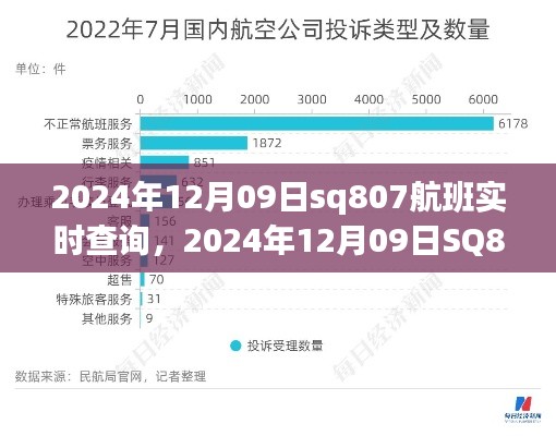 航班信息透明化与消费者权益的关联,以SQ807航班实时查询为例