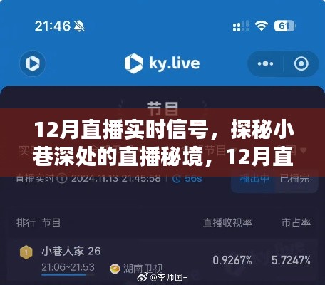 探秘小巷深处的直播秘境，揭秘十二月直播实时信号的独特魅力