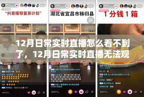 12月日常实时直播无法观看问题解析与观点探讨,寻找直播缺失的原因