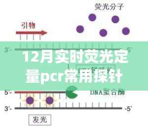 揭秘十二月实时荧光定量PCR常用探针秘籍,小红书分享指南
