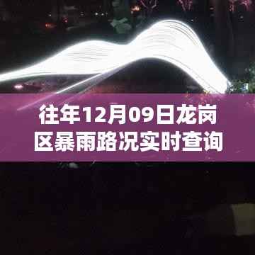 探秘暴雨中的龙岗秘境，实时路况查询与小巷深处的独特风情与隐藏美味（往年12月09日龙岗区暴雨实况）