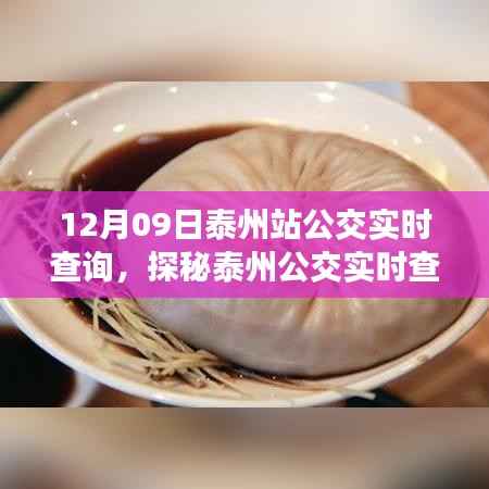 探秘泰州公交实时查询背后的故事,特色小吃与公交周边游指南