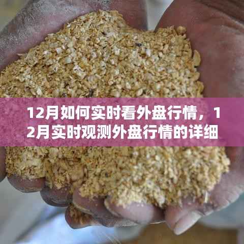 12月实时观测外盘行情指南,掌握详细步骤,洞悉市场动态