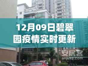 碧翠园疫情最新进展,背景、实时更新与影响分析(12月09日)